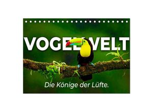 9783435040193 - Vogelwelt - Die Könige der Lüfte (Tischkalender 2025 DIN A5 quer) CALVENDO Monatskalender