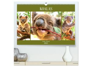 9783435040216 - Koalas Teddy-Alarm! (hochwertiger Premium Wandkalender 2025 DIN A2 quer) Kunstdruck in Hochglanz