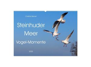 9783435040681 - Steinhuder Meer Vogel-Momente (Wandkalender 2025 DIN A2 quer) CALVENDO Monatskalender