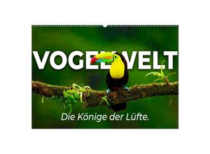 9783435040766 - Vogelwelt - Die Könige der Lüfte (Wandkalender 2025 DIN A2 quer) CALVENDO Monatskalender