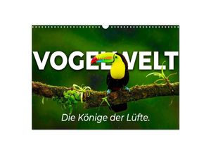 9783435041152 - Vogelwelt - Die Könige der Lüfte (Wandkalender 2025 DIN A3 quer) CALVENDO Monatskalender