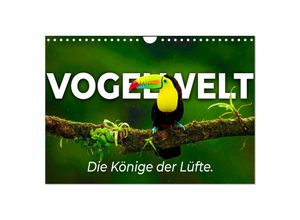 9783435041466 - Vogelwelt - Die Könige der Lüfte (Wandkalender 2025 DIN A4 quer) CALVENDO Monatskalender