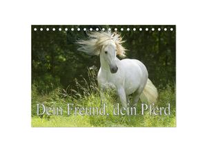 9783435042142 - Dein Freund dein Pferd (Tischkalender 2025 DIN A5 quer) CALVENDO Monatskalender