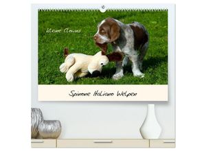 9783435043637 - Spinone Italiano Welpen - Kleine Clowns (hochwertiger Premium Wandkalender 2025 DIN A2 quer) Kunstdruck in Hochglanz