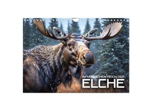 9783435043675 - Im magischen Reich der Elche (Wandkalender 2025 DIN A4 quer) CALVENDO Monatskalender