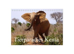 9783435043729 - Tierparadies Kenia (Tischkalender 2025 DIN A5 quer) CALVENDO Monatskalender