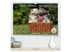 9783435044528 - Süße Kätzchen - cute kittens (hochwertiger Premium Wandkalender 2025 DIN A2 quer) Kunstdruck in Hochglanz