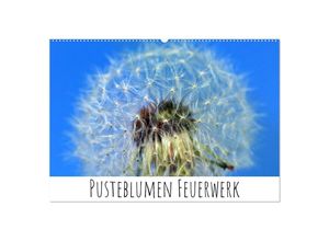 9783435044573 - Pusteblumen Feuerwerk (Wandkalender 2025 DIN A2 quer) CALVENDO Monatskalender