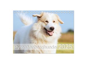 9783435044719 - Pyrenäenberghunde (Tischkalender 2025 DIN A5 quer) CALVENDO Monatskalender