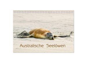 9783435044863 - Australische Seelöwen (Tischkalender 2025 DIN A5 quer) CALVENDO Monatskalender