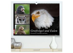 9783435044955 - Greifvögel und Eulen (hochwertiger Premium Wandkalender 2025 DIN A2 quer) Kunstdruck in Hochglanz