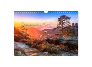 9783435045792 - Stimmungsvolle Landschaften in Sachsen 2025 (Wandkalender 2025 DIN A4 quer) CALVENDO Monatskalender