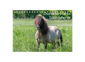 9783435046331 - Charakterstarke Islandpferde (Tischkalender 2025 DIN A5 quer) CALVENDO Monatskalender