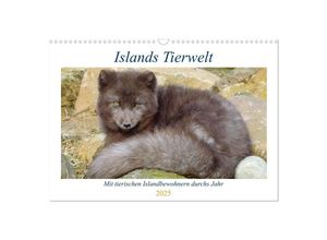 9783435046379 - Islands Tierwelt - Mit tierischen Inselbewohnern durchs Jahr (Wandkalender 2025 DIN A3 quer) CALVENDO Monatskalender