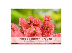 9783435046409 - Rhododendren-Träume Blüten Romantik Azaleen Edel (Wandkalender 2025 DIN A2 quer) CALVENDO Monatskalender