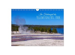 9783435046607 - Im Farbenspiel des Yellowstone Natl Park (Wandkalender 2025 DIN A4 quer) CALVENDO Monatskalender