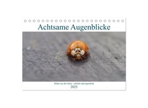 9783435046812 - Achtsame Augenblicke (Tischkalender 2025 DIN A5 quer) CALVENDO Monatskalender