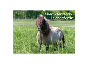 9783435046829 - Charakterstarke Islandpferde (Wandkalender 2025 DIN A2 quer) CALVENDO Monatskalender