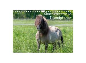 9783435047369 - Charakterstarke Islandpferde (Wandkalender 2025 DIN A4 quer) CALVENDO Monatskalender