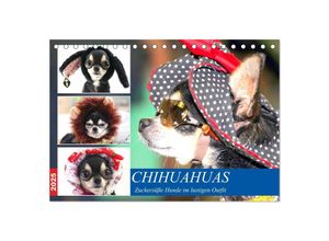 9783435048885 - Chihuahuas Zuckersüße Hunde im lustigen Outfit (Tischkalender 2025 DIN A5 quer) CALVENDO Monatskalender