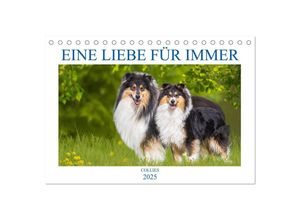 9783435049042 - Eine Liebe für immer - Collies (Tischkalender 2025 DIN A5 quer) CALVENDO Monatskalender