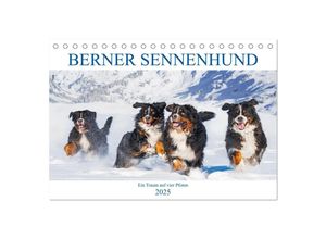 9783435049257 - Berner Sennenhund - Ein Traum auf vier Pfoten (Tischkalender 2025 DIN A5 quer) CALVENDO Monatskalender