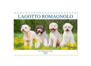 9783435049288 - Lagotto Romagnolo - Der Trüffelhund aus Italien (Tischkalender 2025 DIN A5 quer) CALVENDO Monatskalender