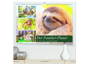 9783435049578 - Der Faultier-Planer für mehr Ruhe und Gemütlichkeit! (hochwertiger Premium Wandkalender 2025 DIN A2 quer) Kunstdruck in Hochglanz