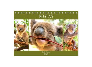 9783435049752 - Koalas Teddy-Alarm! (Tischkalender 2025 DIN A5 quer) CALVENDO Monatskalender