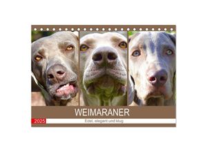 9783435049783 - Weimaraner Edel elegant und klug (Tischkalender 2025 DIN A5 quer) CALVENDO Monatskalender