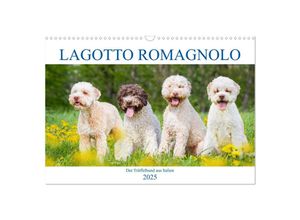 9783435050291 - Lagotto Romagnolo - Der Trüffelhund aus Italien (Wandkalender 2025 DIN A3 quer) CALVENDO Monatskalender