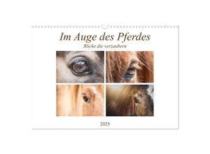 9783435050383 - Im Auge des Pferdes (Wandkalender 2025 DIN A3 quer) CALVENDO Monatskalender