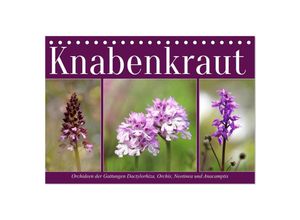 9783435050734 - Knabenkraut (Tischkalender 2025 DIN A5 quer) CALVENDO Monatskalender