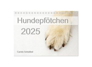 9783435051595 - Hundepfötchen (Tischkalender 2025 DIN A5 quer) CALVENDO Monatskalender