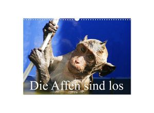 9783435051649 - Die Affen sind los (Wandkalender 2025 DIN A3 quer) CALVENDO Monatskalender