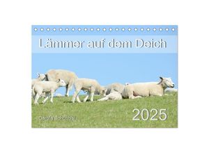 9783435052110 - Lämmer auf dem Deich (Tischkalender 2025 DIN A5 quer) CALVENDO Monatskalender