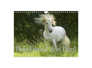 9783435052301 - Dein Freund dein Pferd (Wandkalender 2025 DIN A4 quer) CALVENDO Monatskalender