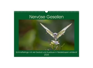 9783435052639 - Nervöse Gesellen (Wandkalender 2025 DIN A3 quer) CALVENDO Monatskalender