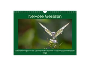 9783435053049 - Nervöse Gesellen (Wandkalender 2025 DIN A4 quer) CALVENDO Monatskalender