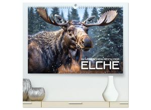 9783435054541 - Im magischen Reich der Elche (hochwertiger Premium Wandkalender 2025 DIN A2 quer) Kunstdruck in Hochglanz