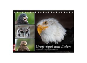 9783435054923 - Greifvögel und Eulen (Tischkalender 2025 DIN A5 quer) CALVENDO Monatskalender