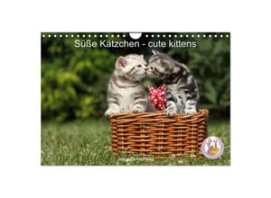 9783435055432 - Süße Kätzchen - cute kittens (Wandkalender 2025 DIN A4 quer) CALVENDO Monatskalender