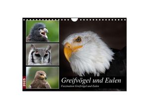 9783435055852 - Greifvögel und Eulen (Wandkalender 2025 DIN A4 quer) CALVENDO Monatskalender