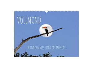 9783435055920 - Vollmond Wundersames Licht des Mondes (Wandkalender 2025 DIN A3 quer) CALVENDO Monatskalender