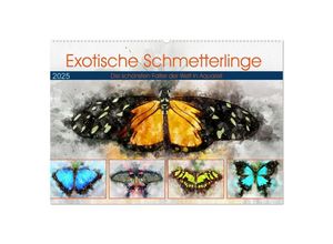 9783435057009 - Exotische Schmetterlinge - Die schönsten Falter der Welt in Aquarell (Wandkalender 2025 DIN A2 quer) CALVENDO Monatskalender