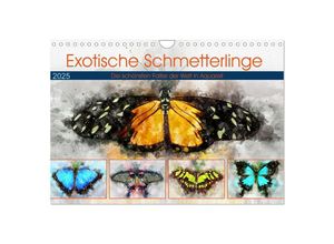 9783435057528 - Exotische Schmetterlinge - Die schönsten Falter der Welt in Aquarell (Wandkalender 2025 DIN A4 quer) CALVENDO Monatskalender