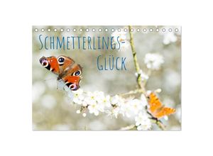 9783435057641 - Schmetterlings-Glück (Tischkalender 2025 DIN A5 quer) CALVENDO Monatskalender