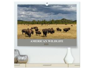 9783435100040 - American Wildlife (hochwertiger Premium Wandkalender 2025 DIN A2 quer) Kunstdruck in Hochglanz