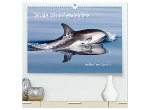 9783435101085 - Wilde Streifendelfine im Golf von Korinth (hochwertiger Premium Wandkalender 2025 DIN A2 quer) Kunstdruck in Hochglanz