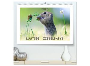 9783435101146 - Lustige Zieselbabys (hochwertiger Premium Wandkalender 2025 DIN A2 quer) Kunstdruck in Hochglanz